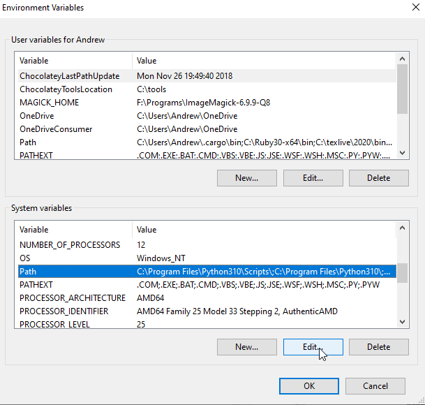Select the Path environment variable